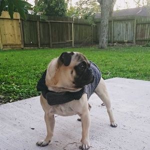 Meet your Posher, Yovana